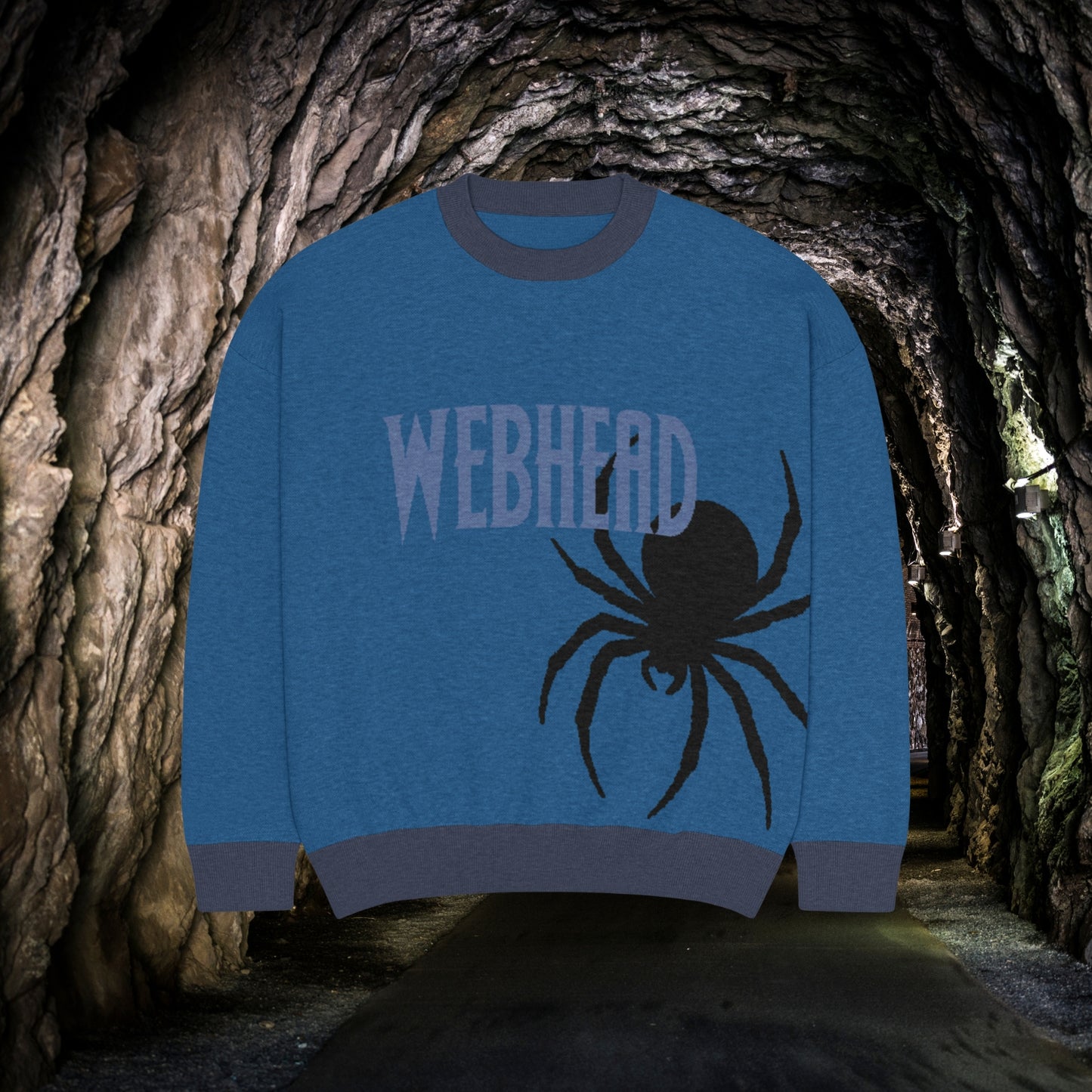 WebHead Spider knitted sweater