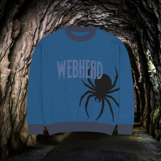 WebHead Spider knitted sweater